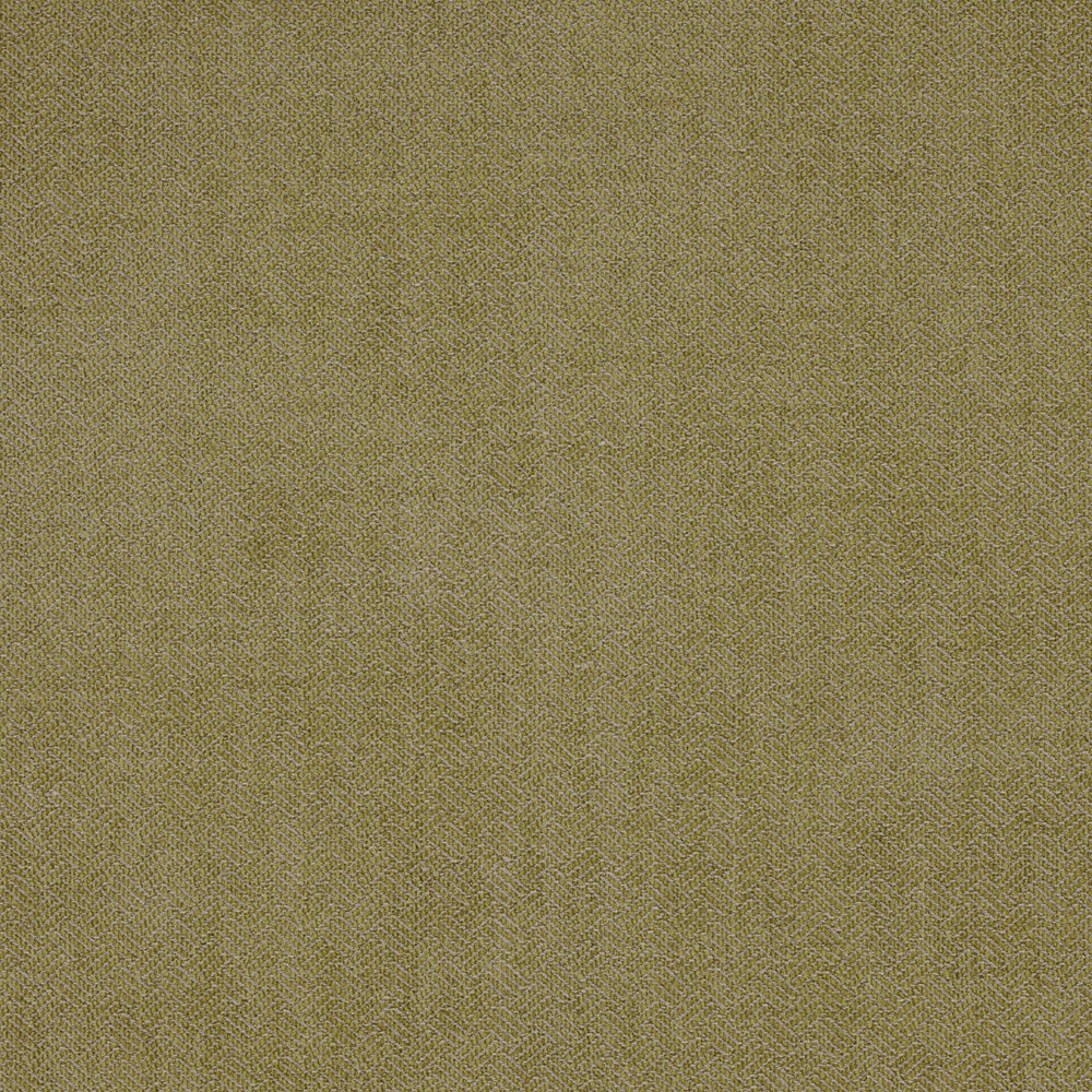 Flavio Fabric by George Spencer Designs in Lime