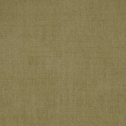 Flavio Fabric by George Spencer Designs in Lime