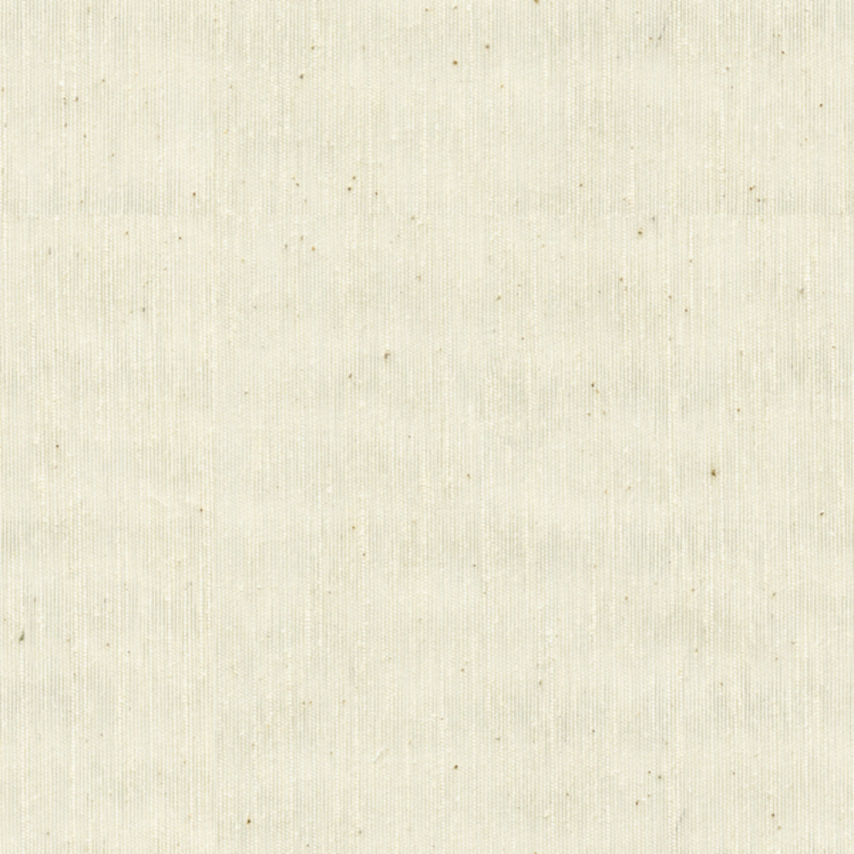 Neva Fabric by Brunschwig & Fils in Cream