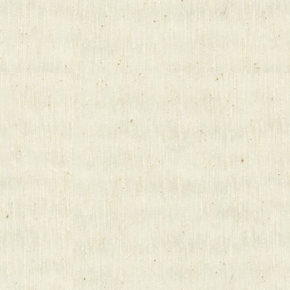 Neva Fabric by Brunschwig & Fils in Cream