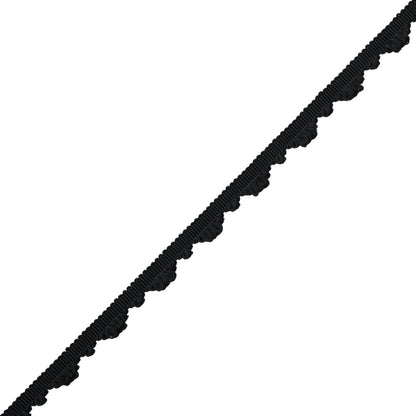 Délicat Silk Fan Edge Trim by Samuel & Sons in Onyx
