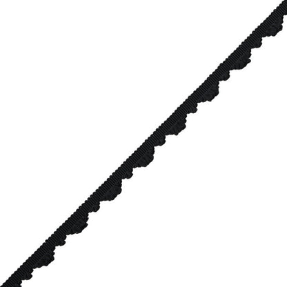 Délicat Silk Fan Edge Trim by Samuel & Sons in Onyx