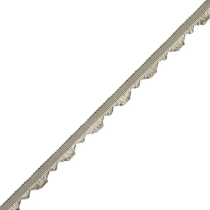 Délicat Silk Fan Edge Trim by Samuel & Sons in Pewter