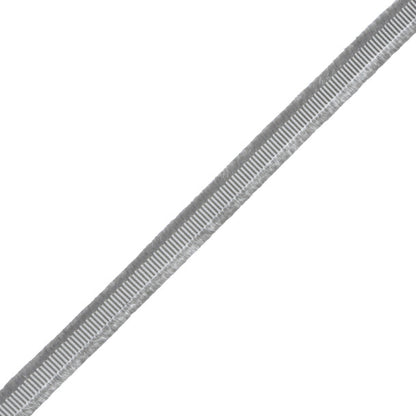 Délicat Silk Gimp Trim by Samuel & Sons in Platinum