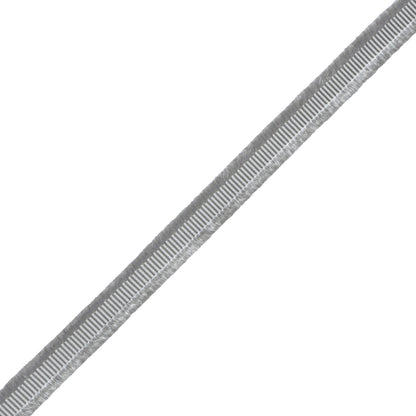 Délicat Silk Gimp Trim by Samuel & Sons in Platinum