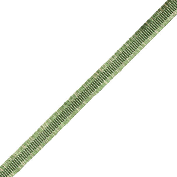 Délicat Silk Gimp Trim by Samuel & Sons in Basil