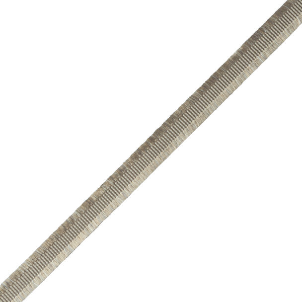 Délicat Silk Gimp Trim by Samuel & Sons in Pewter