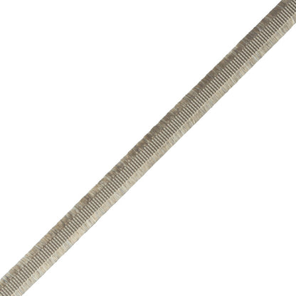 Délicat Silk Gimp Trim by Samuel & Sons in Pewter