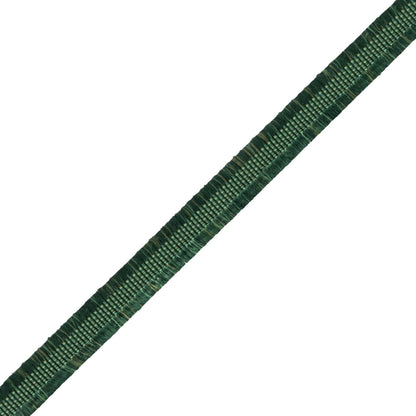 Délicat Silk Gimp Trim by Samuel & Sons in Green