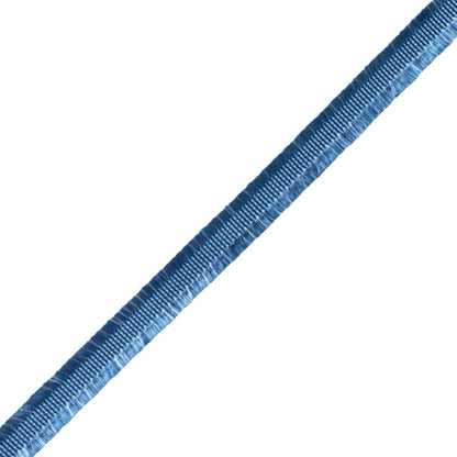 Délicat Silk Gimp Trim by Samuel & Sons in French Blue