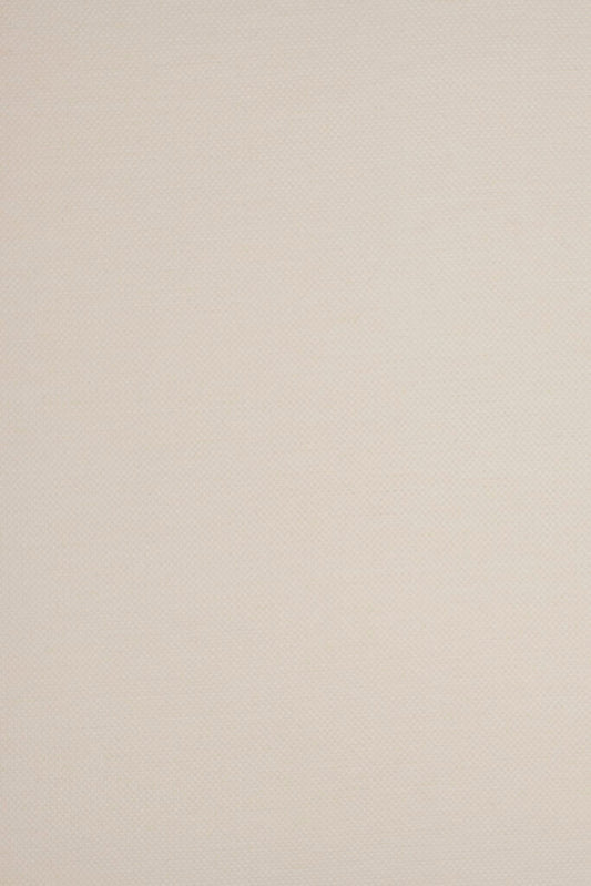 Grain de Ris Fabric by Gainsborough in Ecru