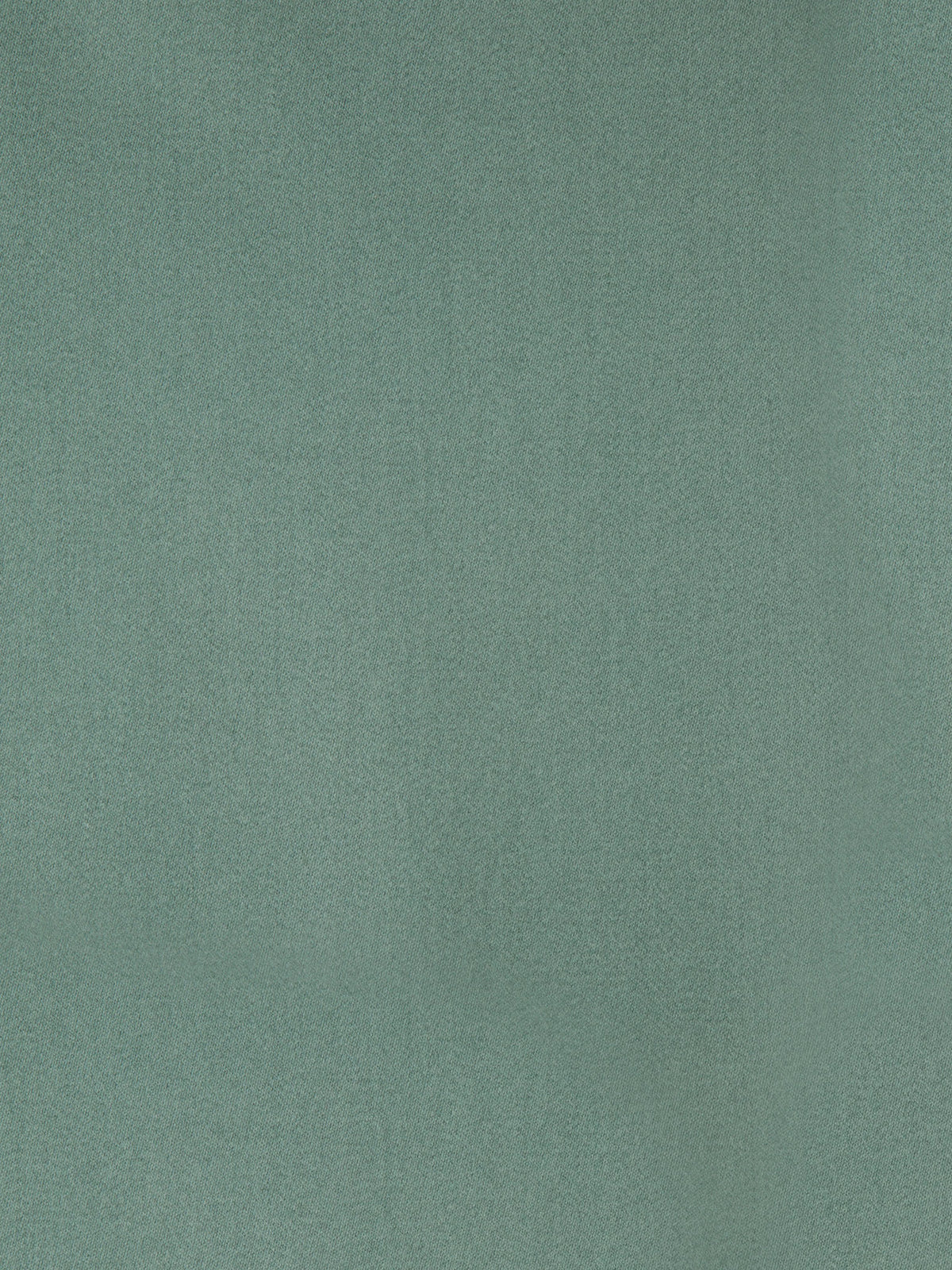 Glace Fabric by Holland & Sherry in Green
