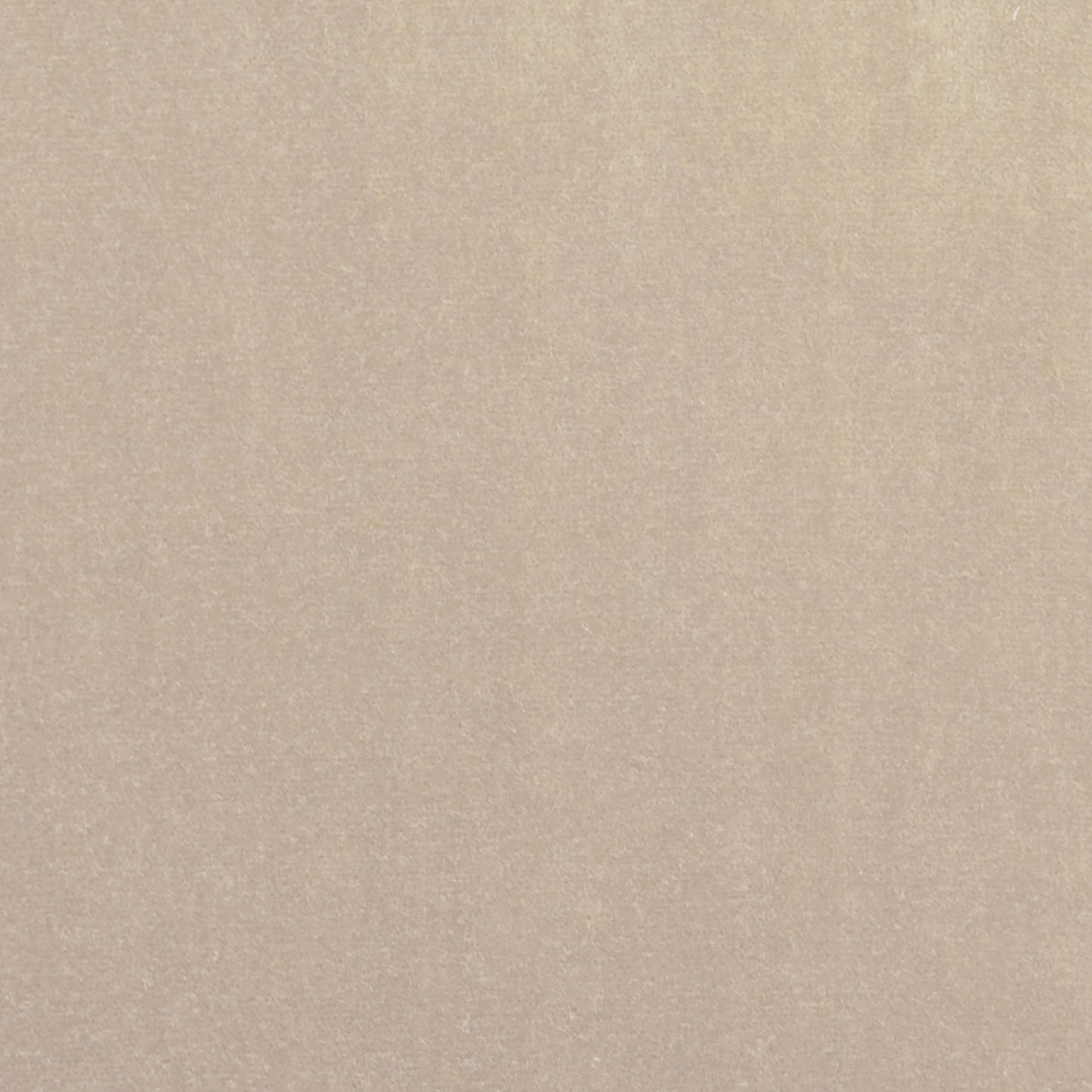 TRH3161 Fabric