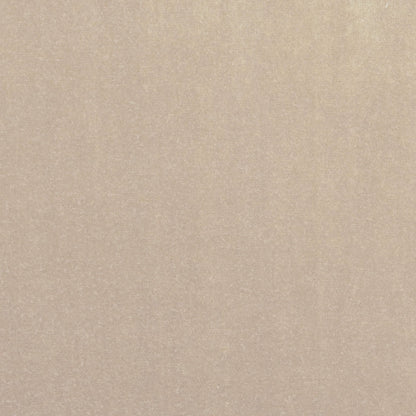 TRH3161 Fabric