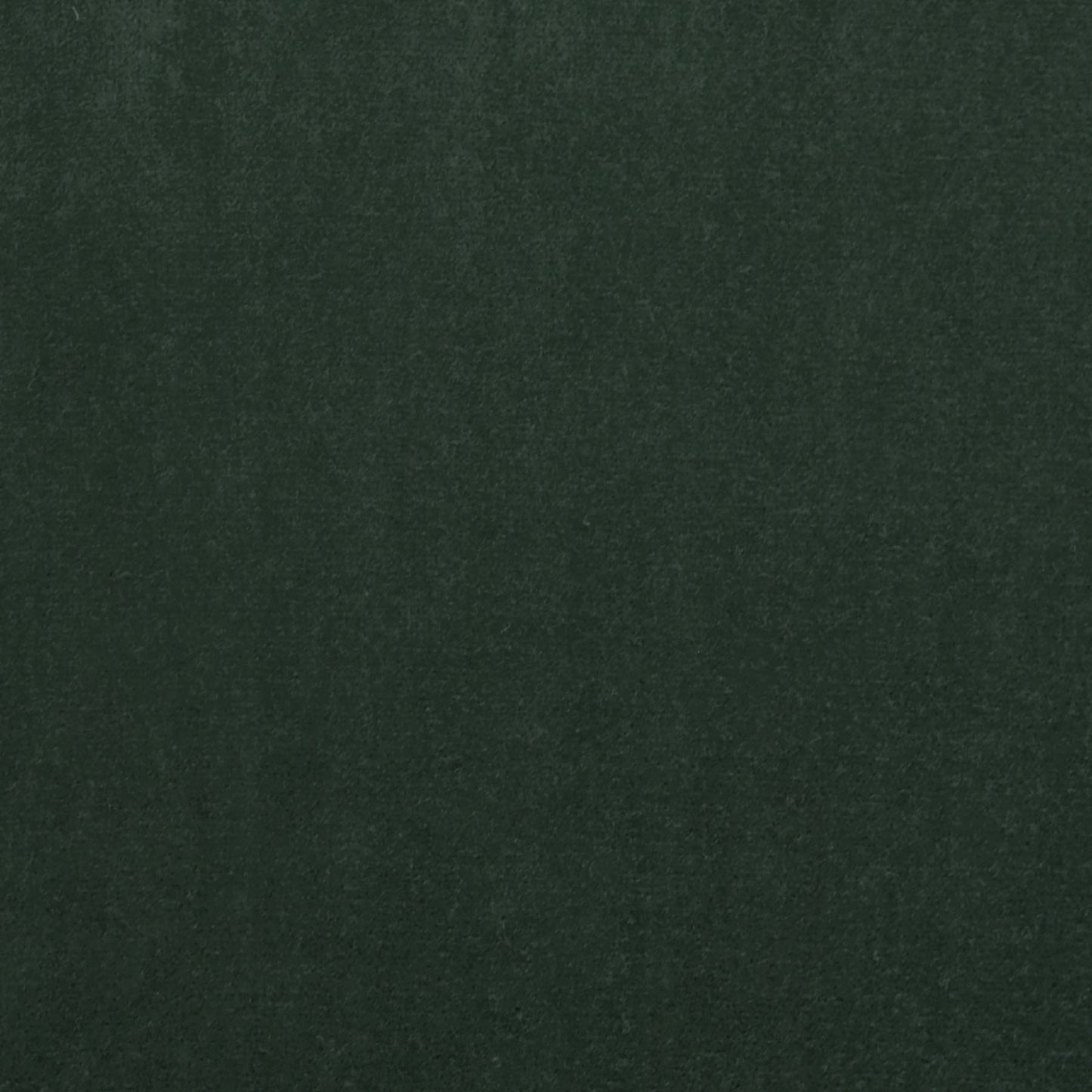 TRH3161 Fabric