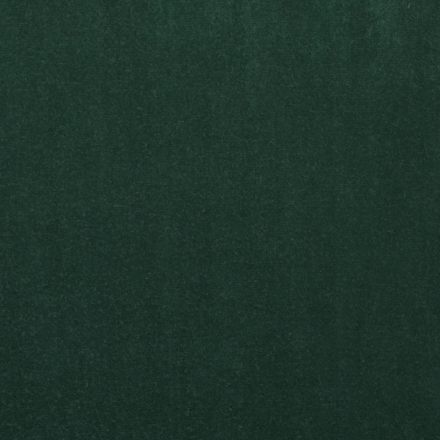 TRH3161 Fabric