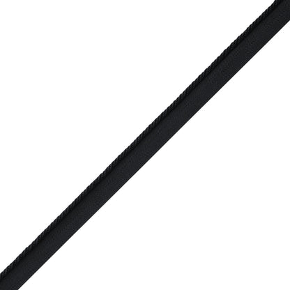 Délicat Silk Cord With Tape Trim by Samuel & Sons in Onyx