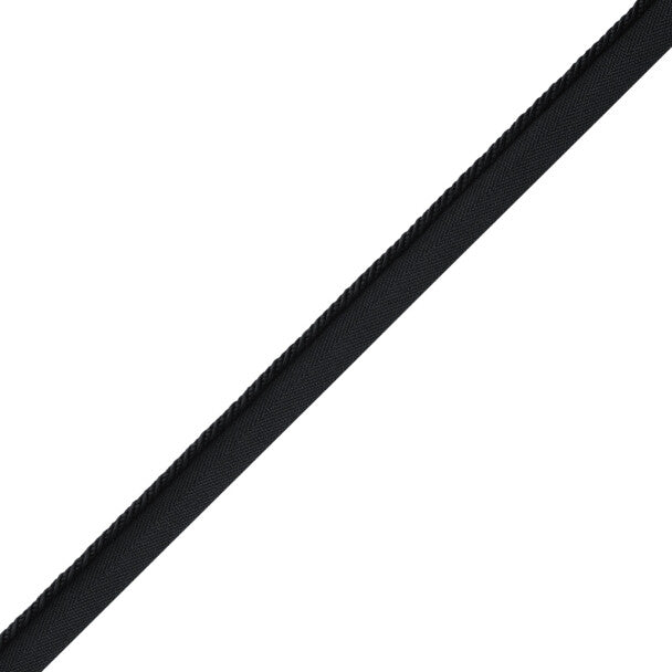 Délicat Silk Cord With Tape Trim by Samuel & Sons in Onyx