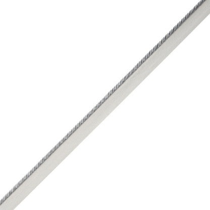 Délicat Silk Cord With Tape Trim by Samuel & Sons in Platinum