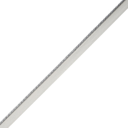 Délicat Silk Cord With Tape Trim by Samuel & Sons in Platinum