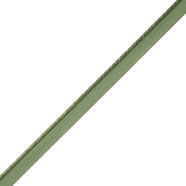 Délicat Silk Cord With Tape Trim by Samuel & Sons in Basil