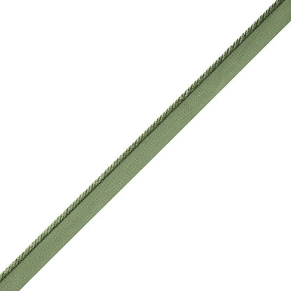 Délicat Silk Cord With Tape Trim by Samuel & Sons in Basil