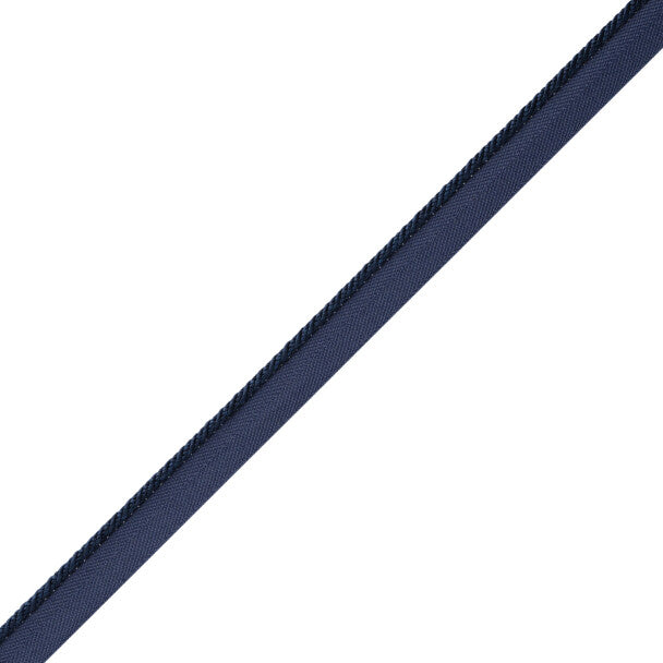 Délicat Silk Cord With Tape Trim by Samuel & Sons in Navy