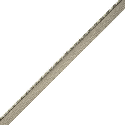 Délicat Silk Cord With Tape Trim by Samuel & Sons in Pewter