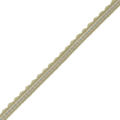 1/2" Lancaster Gimp Trim by Samuel & Sons in Sea Mist