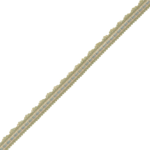 1/2" Lancaster Gimp Trim by Samuel & Sons in Sea Mist