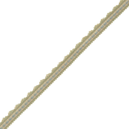 1/2" Lancaster Gimp Trim by Samuel & Sons in Sea Mist