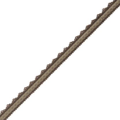 1/2" Lancaster Gimp Trim by Samuel & Sons in Charcoal