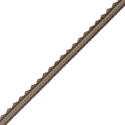1/2" Lancaster Gimp Trim by Samuel & Sons in Charcoal