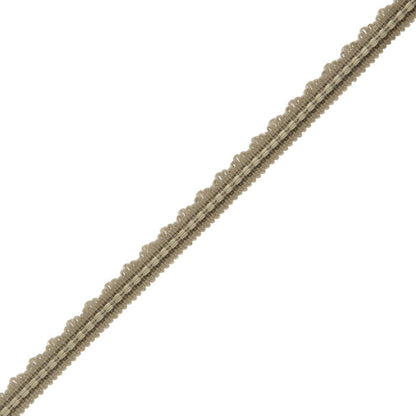 1/2" Lancaster Gimp Trim by Samuel & Sons in Pewter