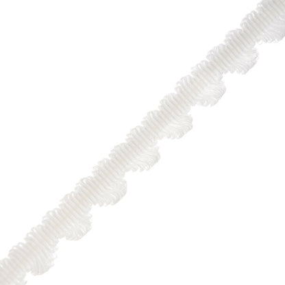 Lancaster Fan Edge Trim by Samuel & Sons in Snow White