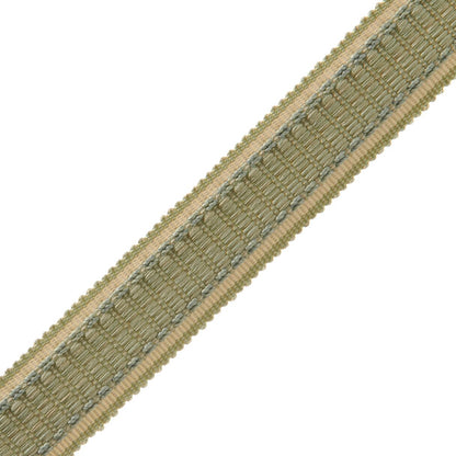 1" Lancaster Ribbed Border Trim by Samuel & Sons in Sea Mist