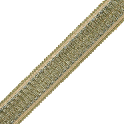 1" Lancaster Ribbed Border Trim by Samuel & Sons in Sea Mist