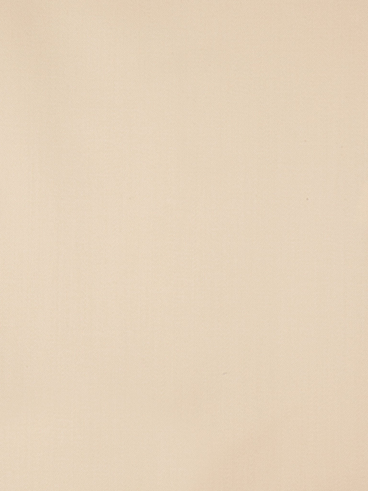 Glace Fabric by Holland & Sherry in Champagne