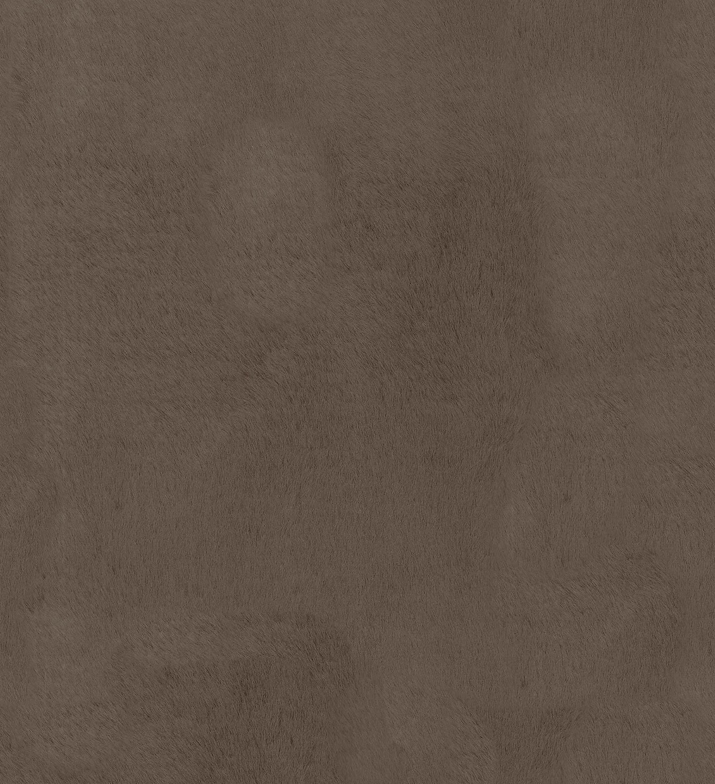 TRH2508 Fabric