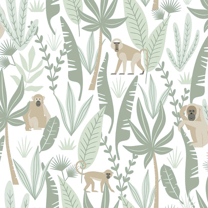 Fable Kiki Monkeys Wallpaper