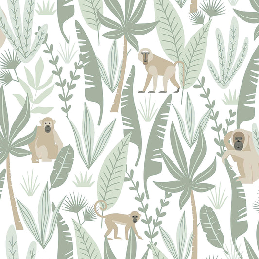 Fable Kiki Monkeys Wallpaper