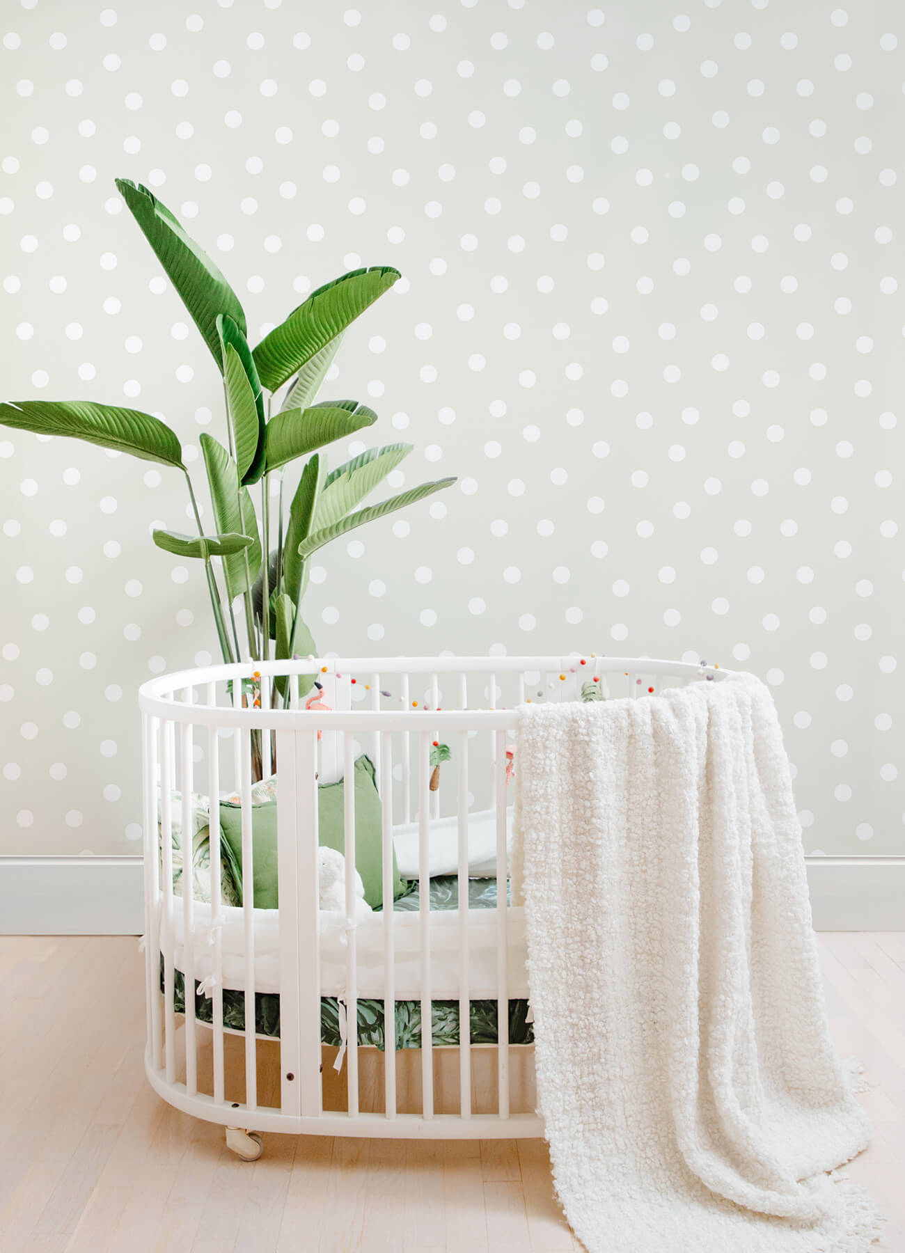 Fable Jubilee Dots Wallpaper