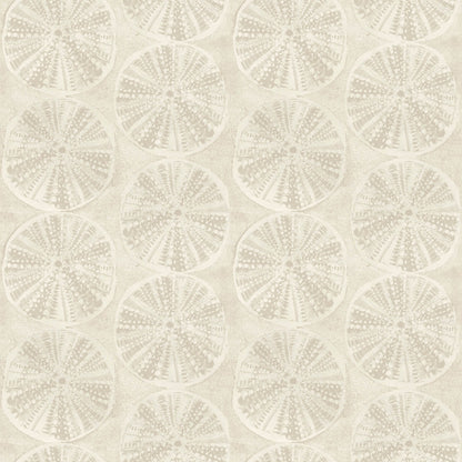 Blue Heron Sea Biscuit Sand Dollar Wallpaper