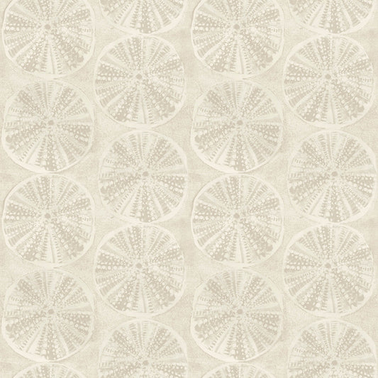 Blue Heron Sea Biscuit Sand Dollar Wallpaper