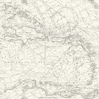 Blue Heron Nautical Charts Wallpaper