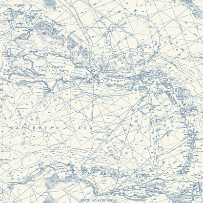 Blue Heron Nautical Charts Wallpaper
