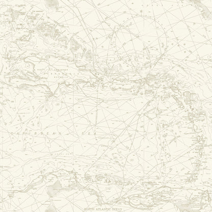 Blue Heron Nautical Charts Wallpaper