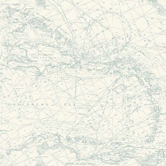 Blue Heron Nautical Charts Wallpaper