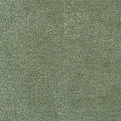 TRH2955 Fabric