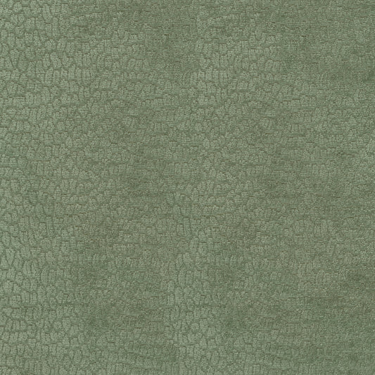 TRH2955 Fabric